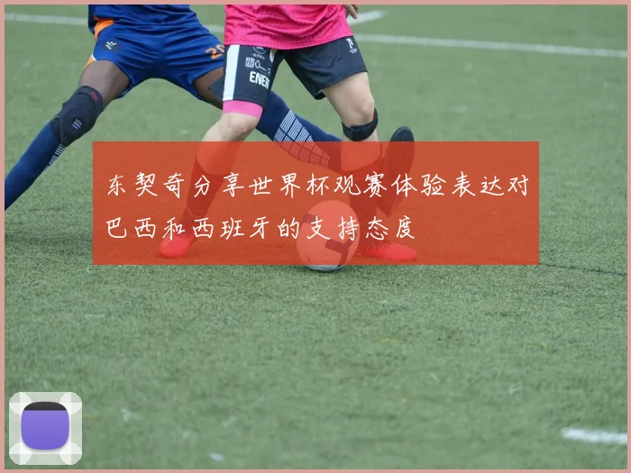 东契奇分享世界杯观赛体验表达对巴西和西班牙的支持态度