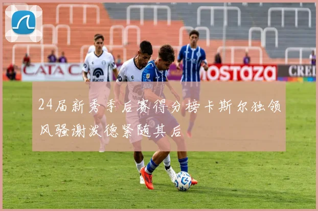 24届新秀季后赛得分榜卡斯尔独领风骚谢泼德紧随其后